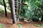 ARCO DI PEGHEROLO, l’arco nella roccia ! - FOTOGALLERY